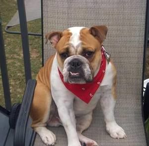 Meet your Posher, Irie